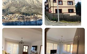 B House Bușteni
